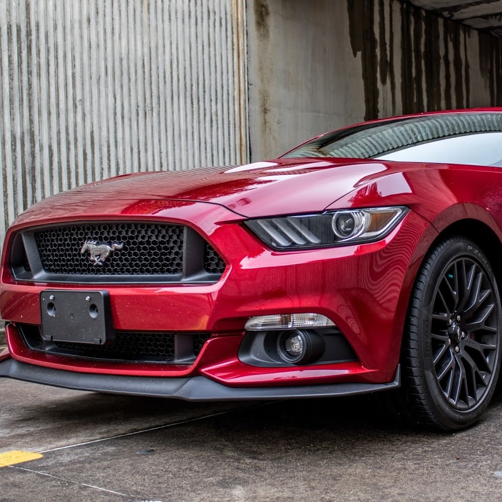 Meet your Posher, Cheyenne